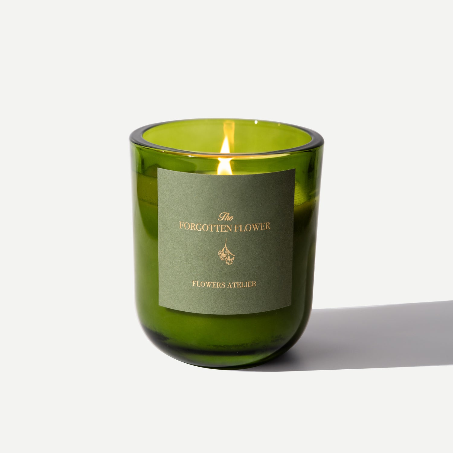 THE FORGOTTEN FLOWER